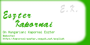 eszter kapornai business card